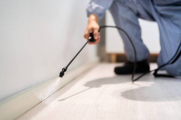 Licensed Pest Control service in Los Angeles, CA - Show Me Pest Control