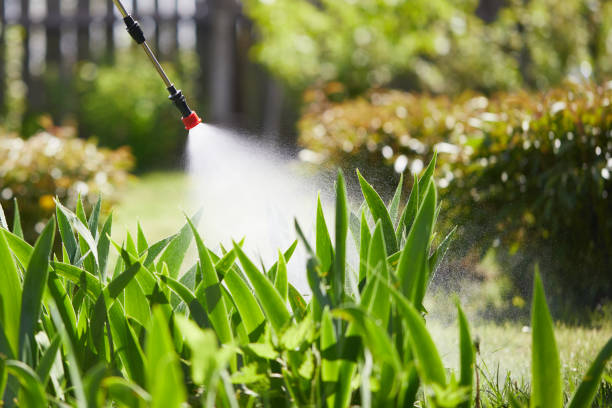 24/7 Emergency Ant Control experts in Los Angeles, CA